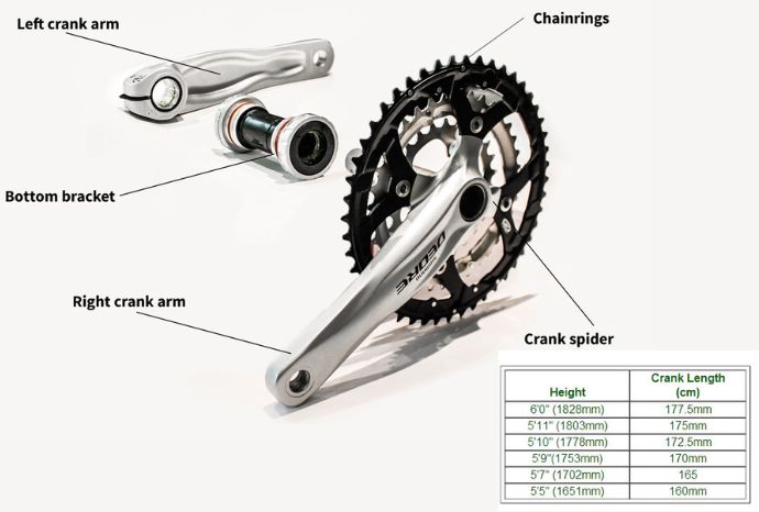 Bike Crank Arm Ultimate Guide (Right Length, Design etc)