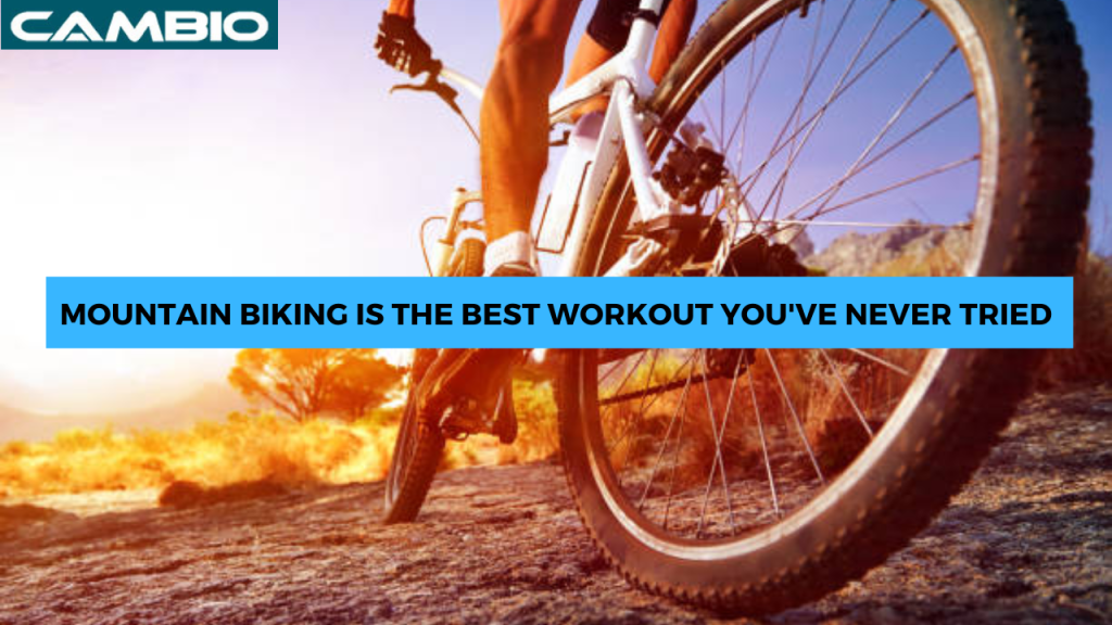5 Reasons Why Mountain Biking is the Best Workout You’ve Never Tried