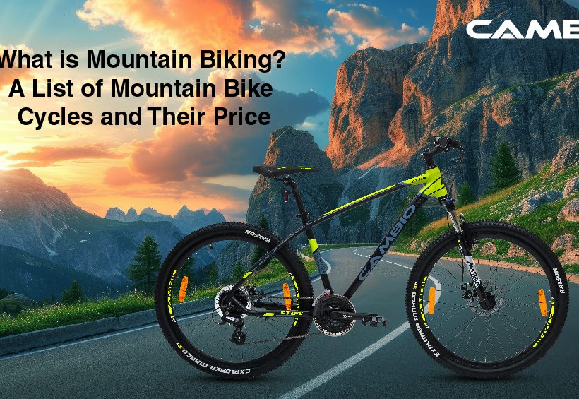Mountain Bike Cycles