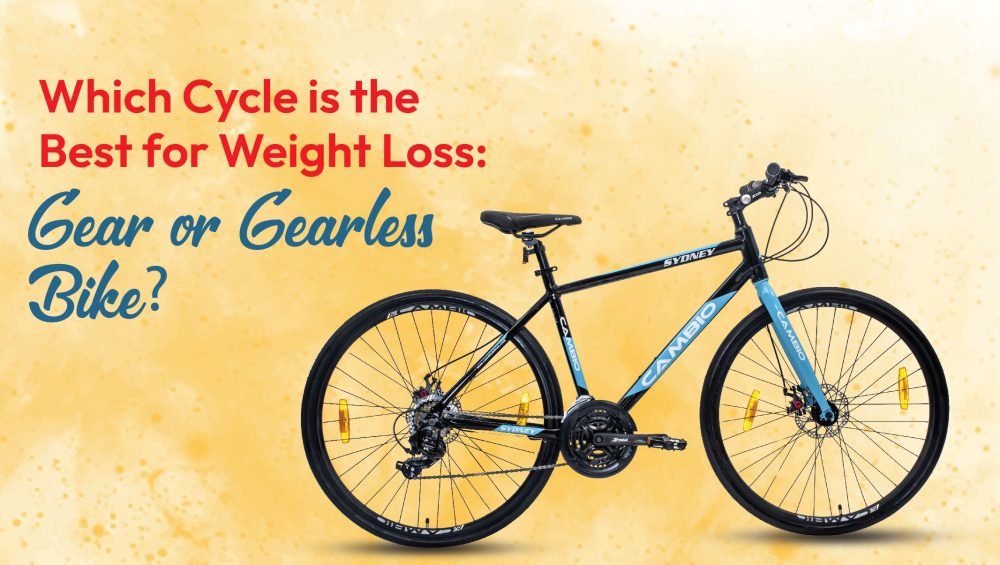 Weight loss bicycle price sale