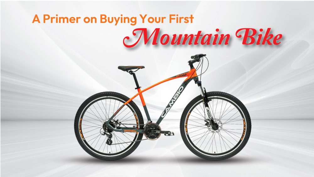 mountain bikes