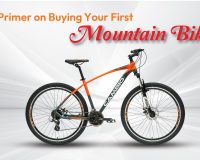 mountain bikes